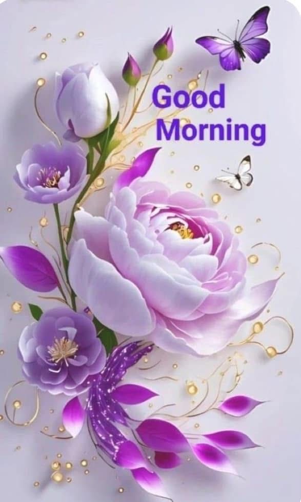 salomy🇪🇬🇦🇹 tweet media