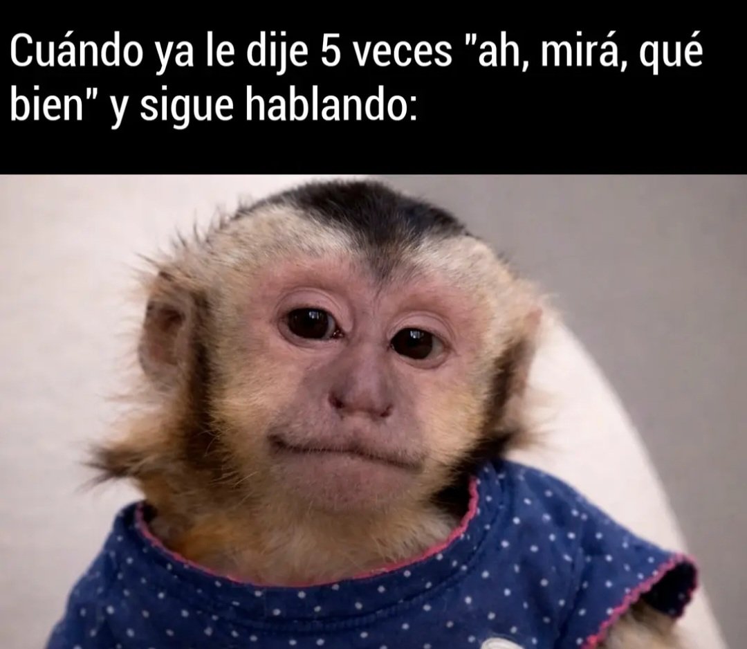 LUNÁTICA tweet media