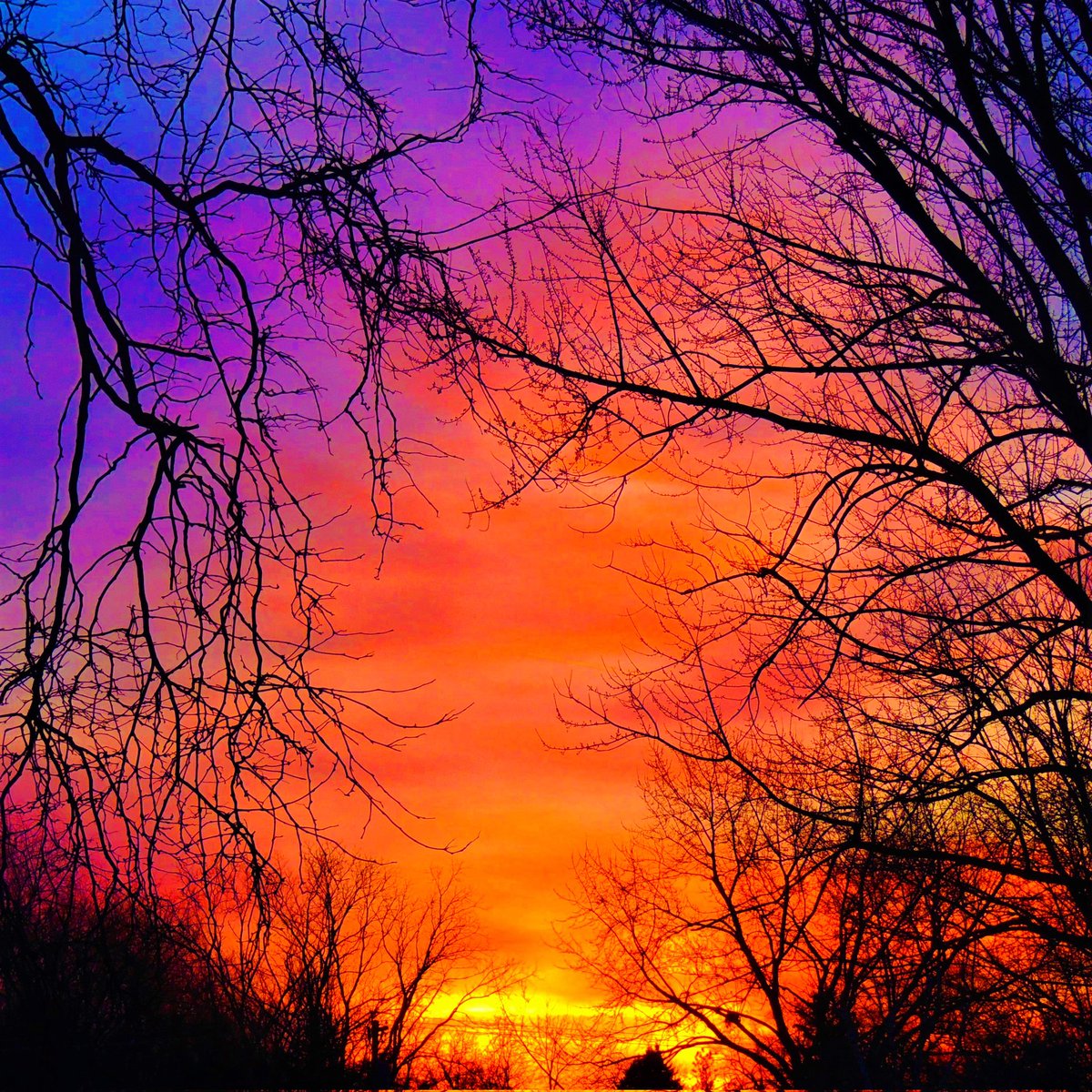 Mark Dwyer tweet media