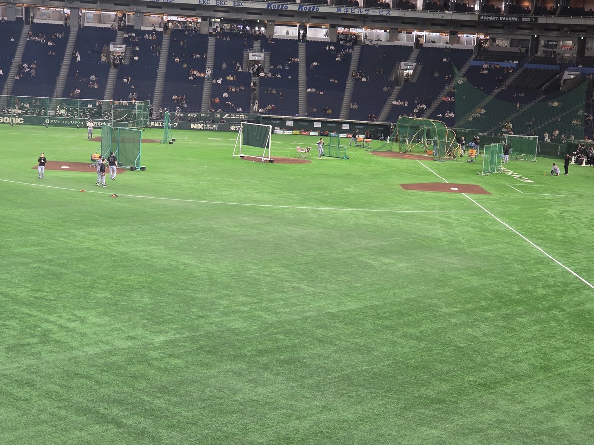 MIKA みか　やっと起きました tweet media