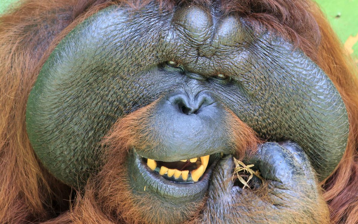 John Not Cena 🎭🥷🏾 tweet media