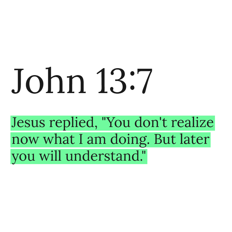 Holy Bible tweet media