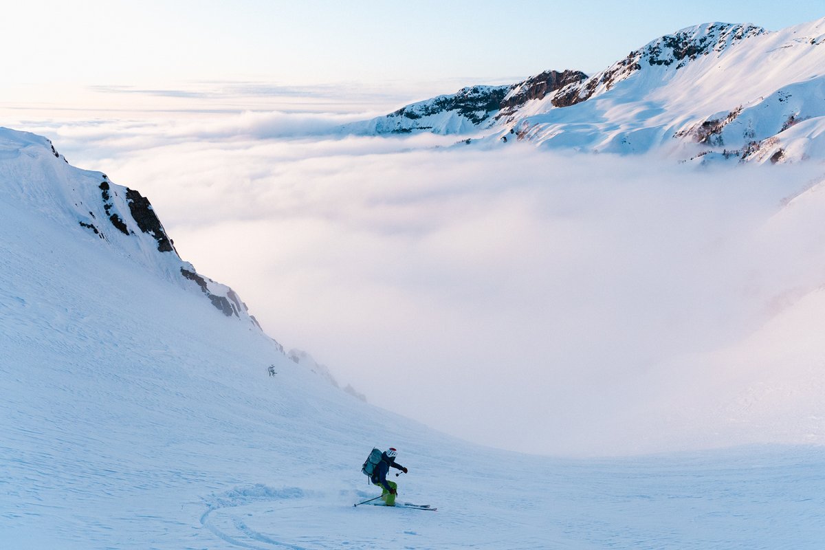 ミレー tweet media