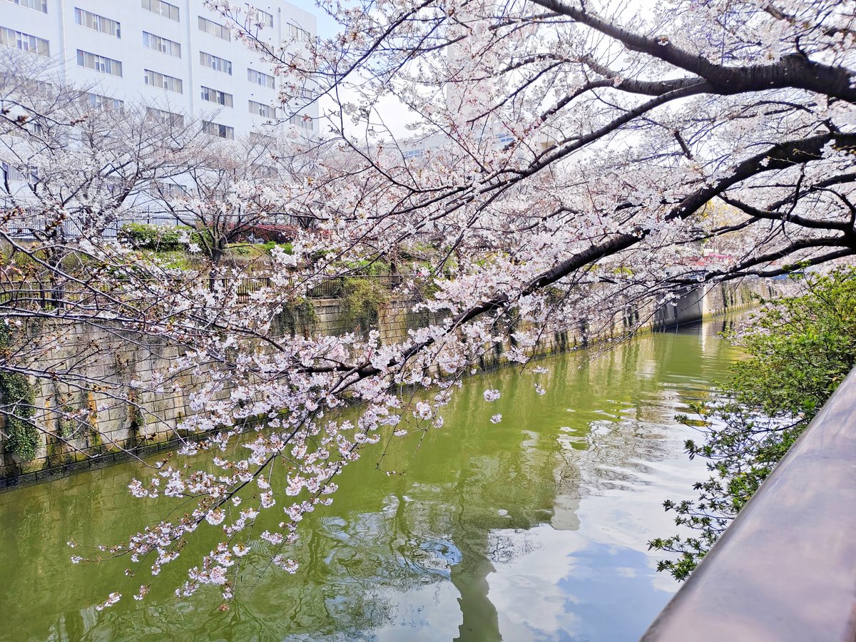 れモン🧀 tweet media