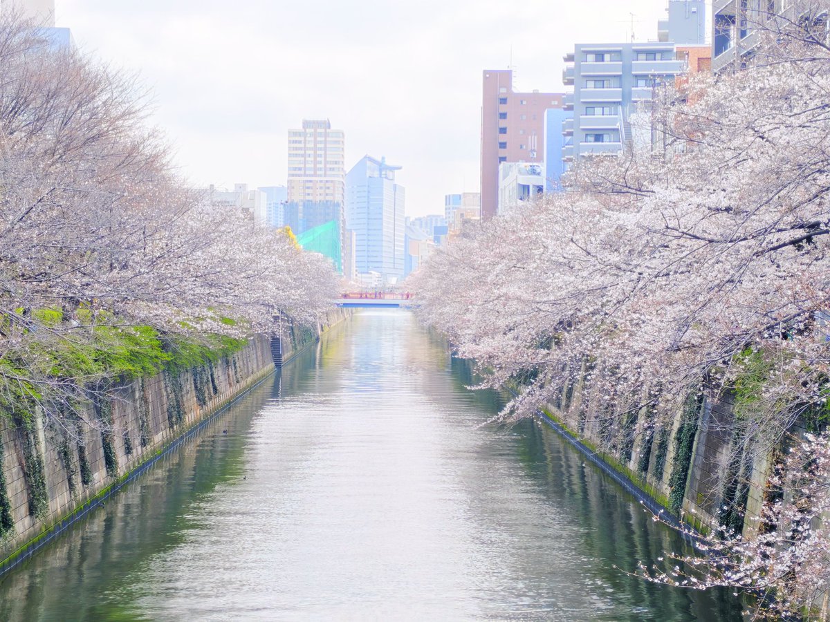 れモン🧀 tweet media