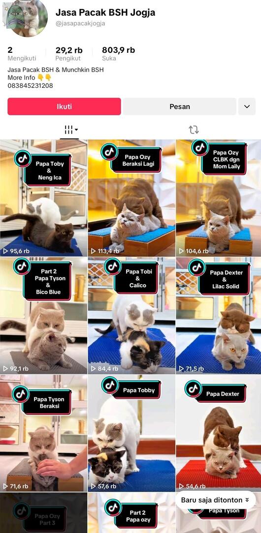 Tanyarlfes tweet media