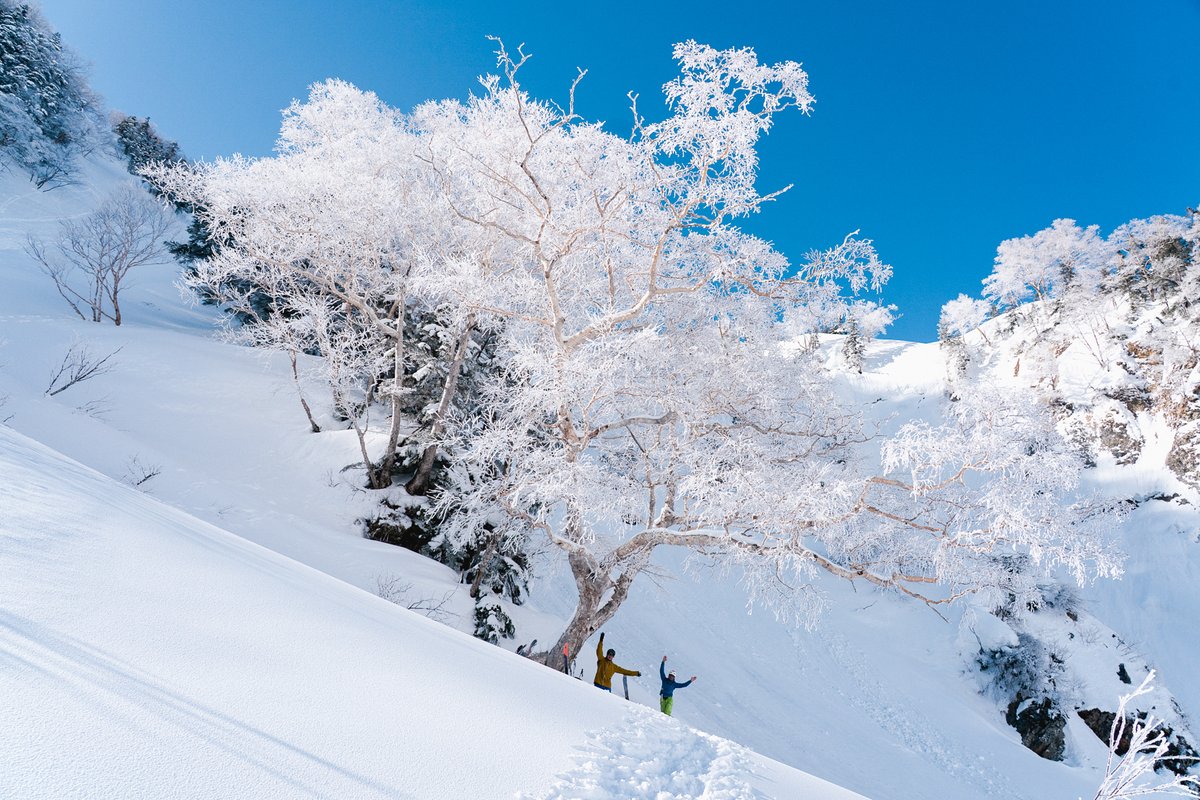 ミレー tweet media