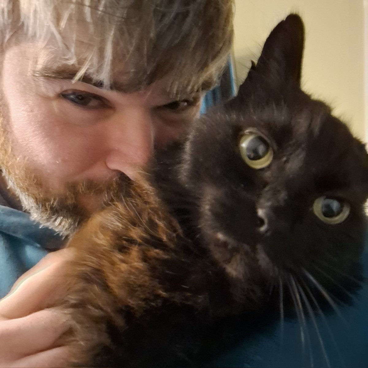 arlo - BLUESKY tweet media