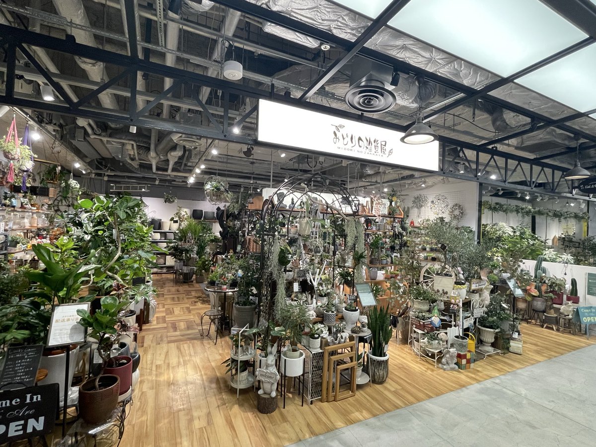 ポット tweet media