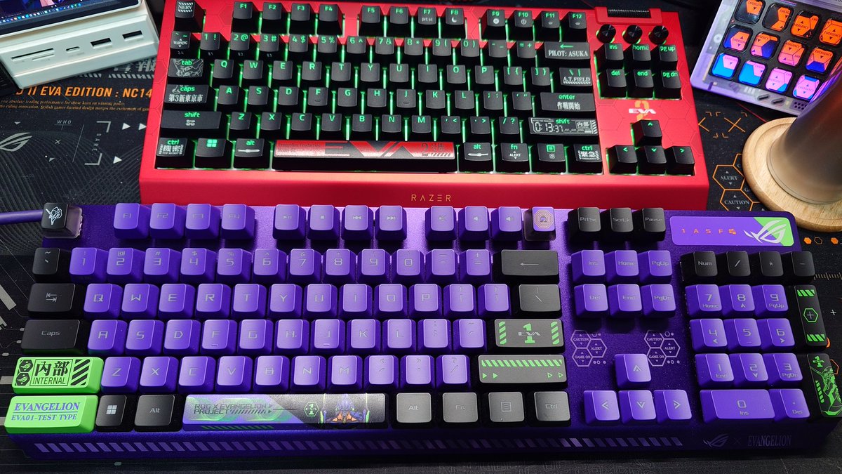 ぱちぇりお【十三鬼将】@きいチャンネルの中の人 tweet media