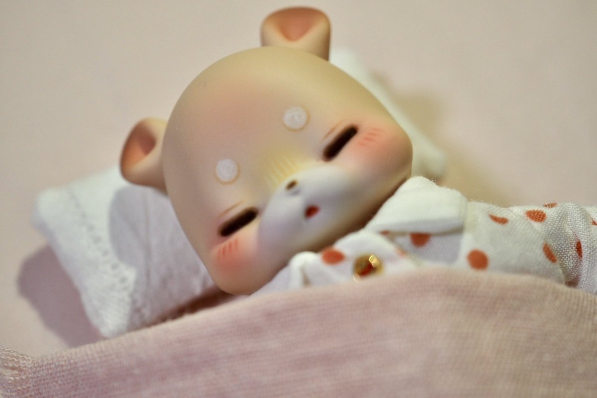 へそにぎり tweet media