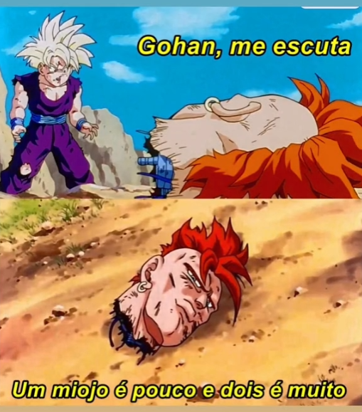 PetrusRoma tweet media