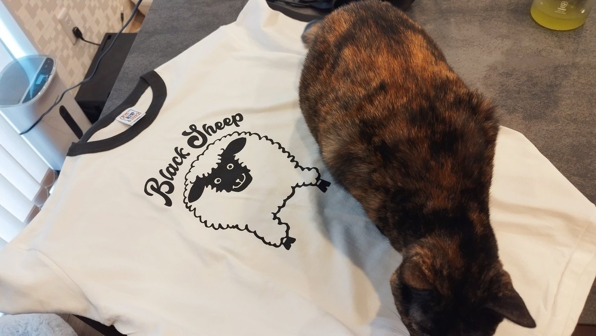 PPPyamaPPP's tweet photo. ギャンかわTシャツ買った https://t.co/p8xd77Jzac