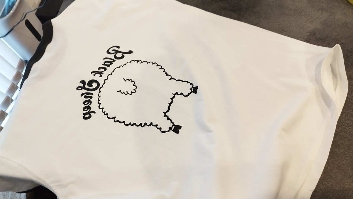 PPPyamaPPP's tweet photo. ギャンかわTシャツ買った https://t.co/p8xd77Jzac