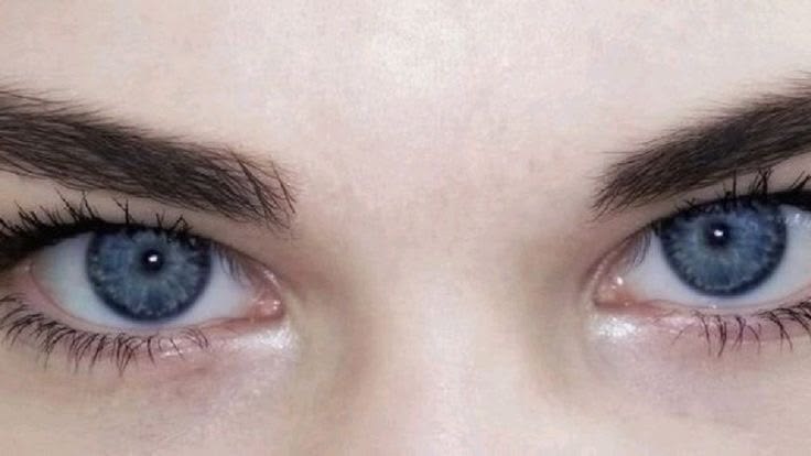 𝗏𝗂𝖼 𝗌𝗍. 𝗃𝖺𝗆𝖾𝗌' 🪽 tweet media