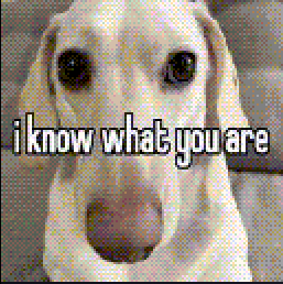 Animated Midriff Enjoyer tweet media