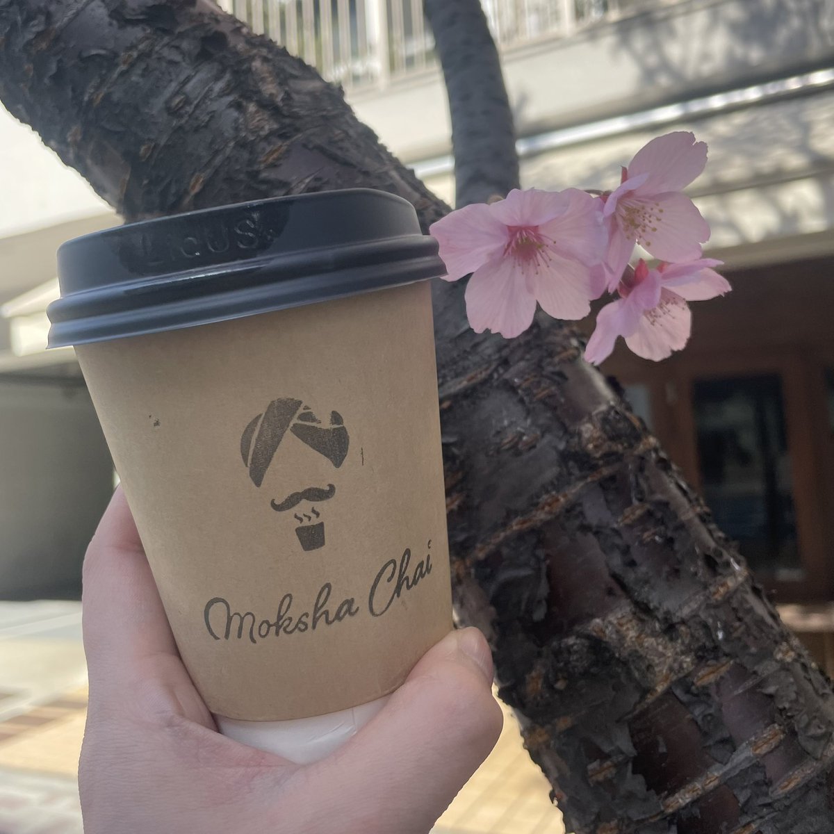 朝倉蒼 tweet media