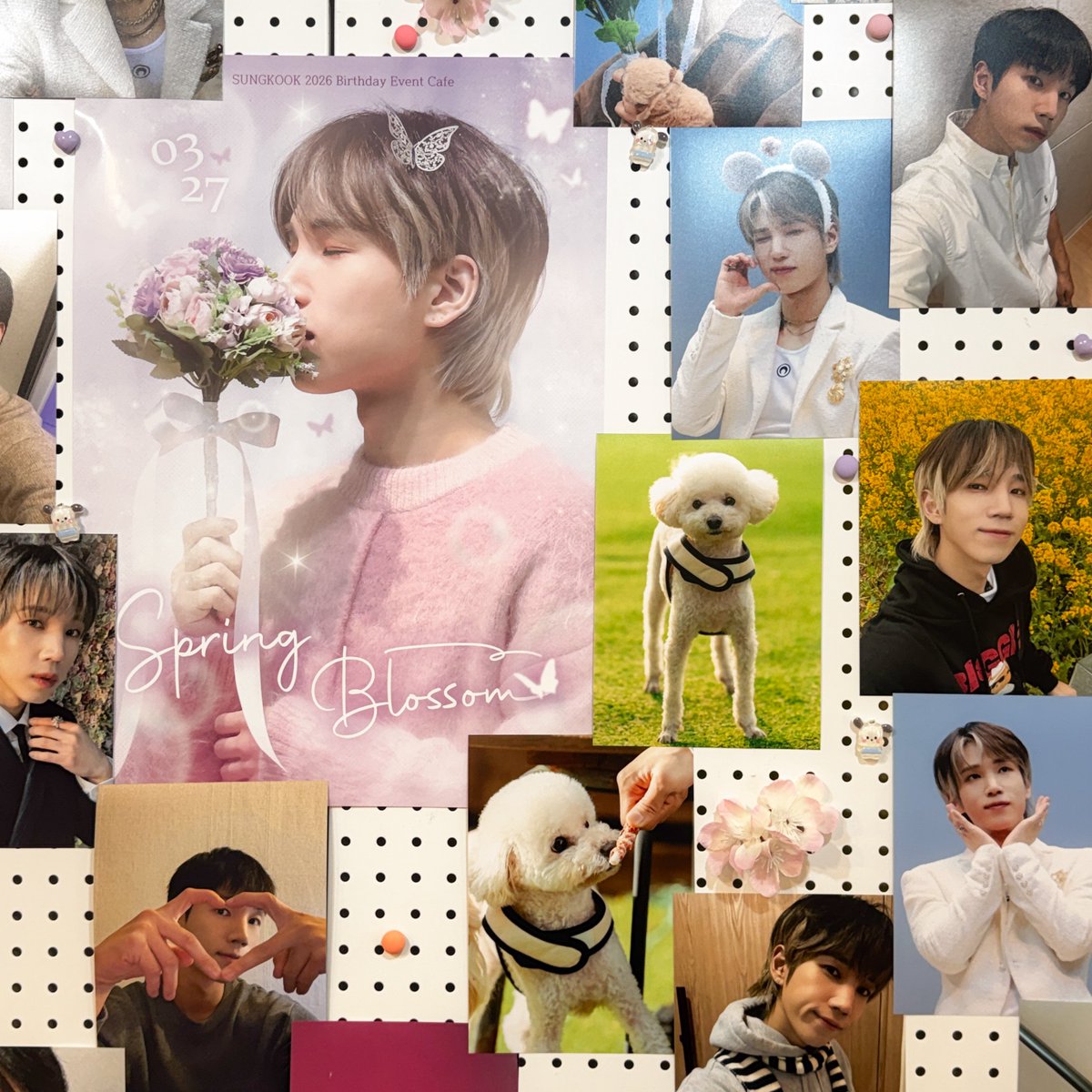 Spring Blossom tweet media