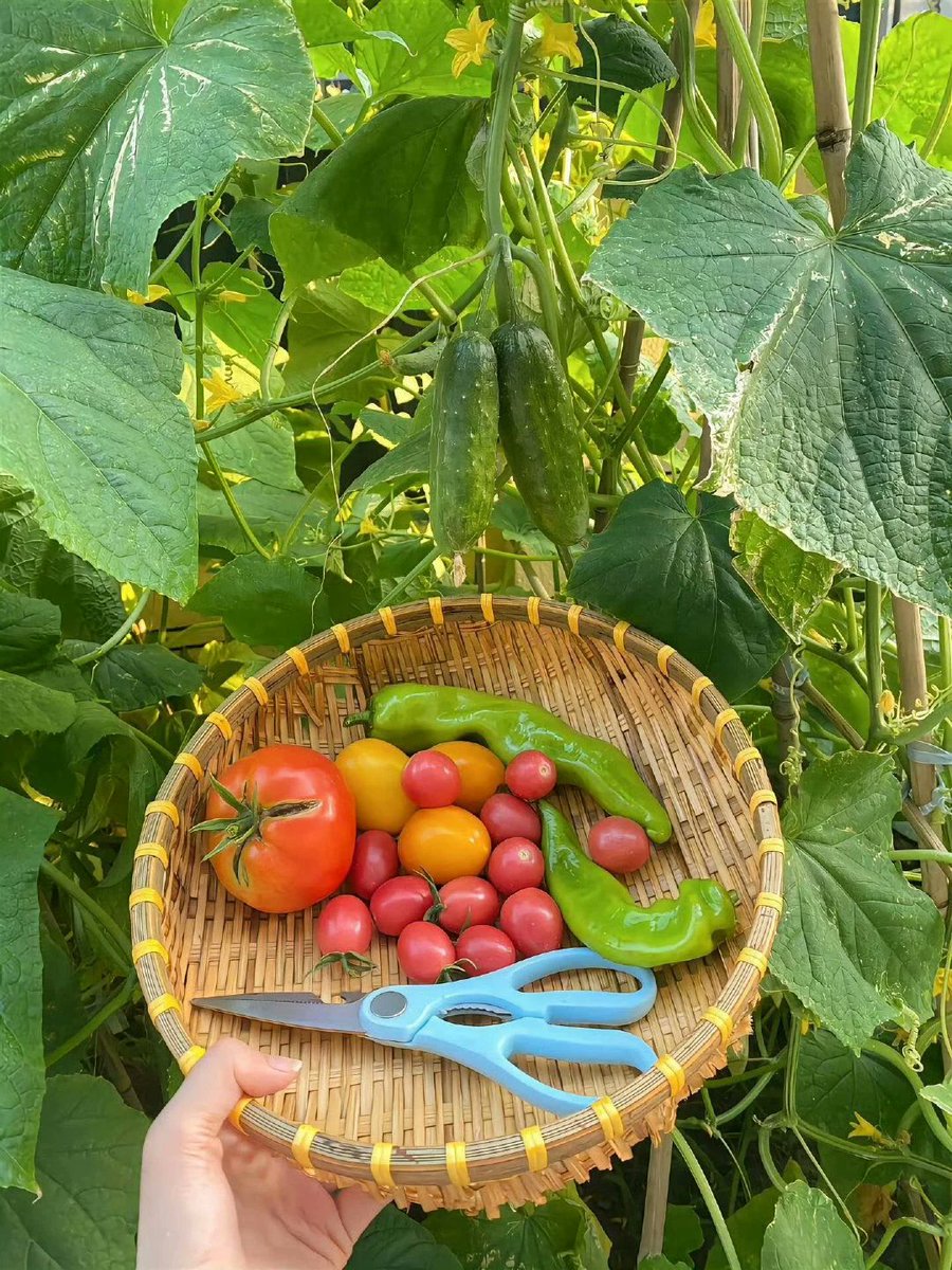 Eat Simple tweet media