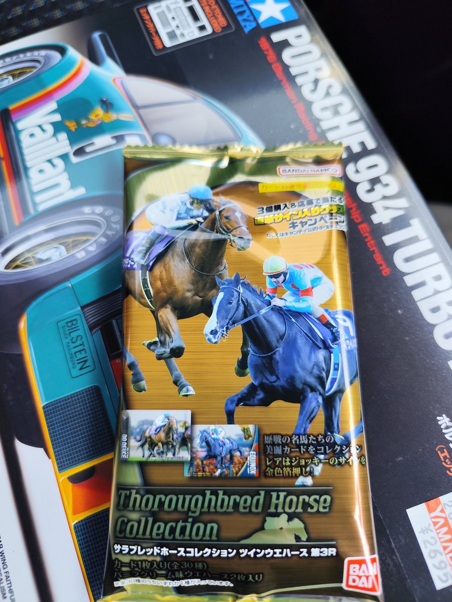 ヴィルキス ヴイツツ🇺🇦 tweet media