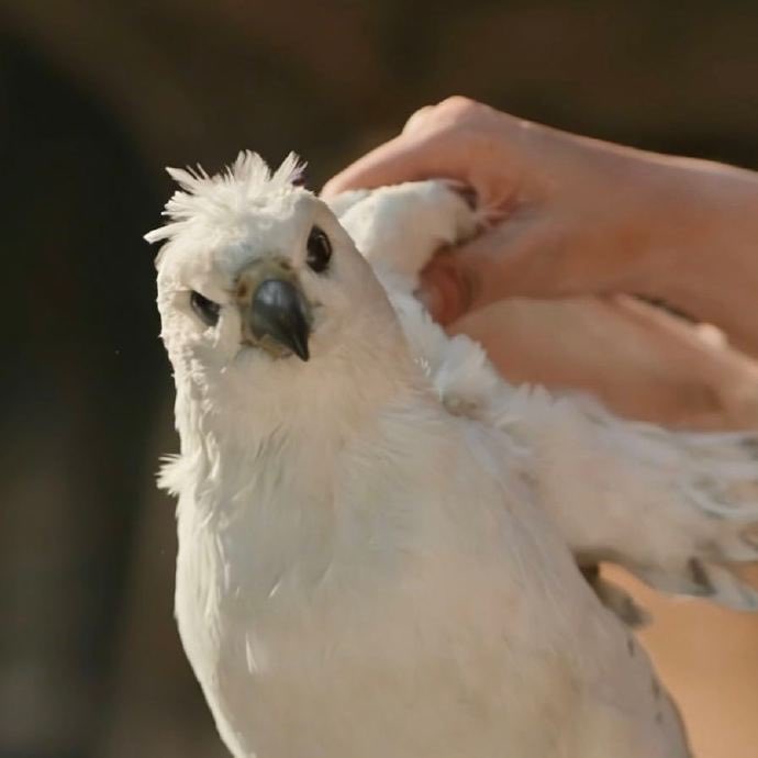 runin ヾ(´¬`)ノ 🇹🇭💛 tweet media