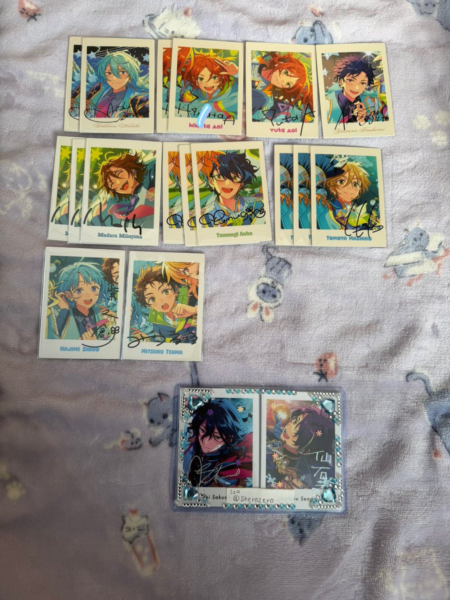 シェロ@固定&プロカ必読 tweet media