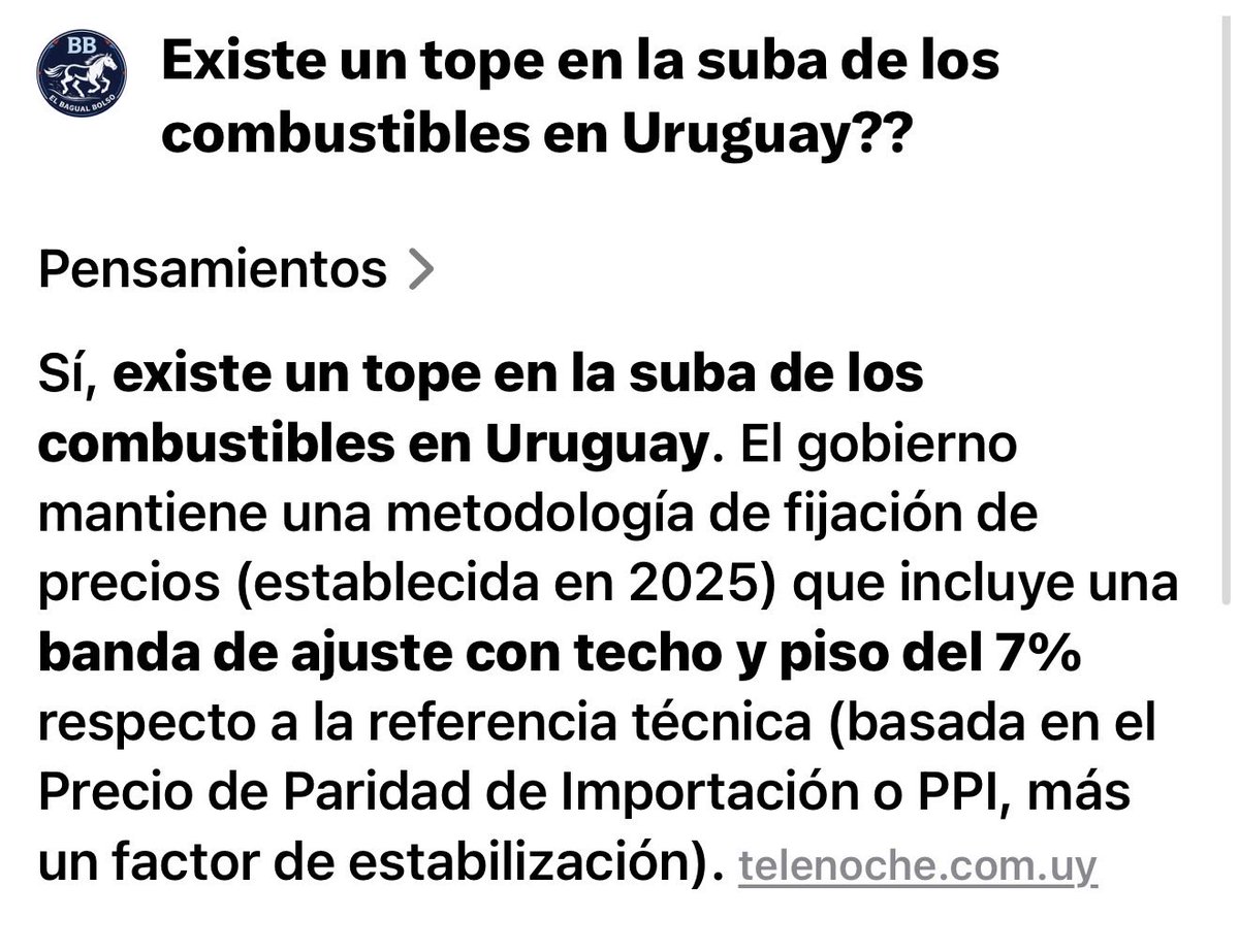 El Bagual bolso tweet media