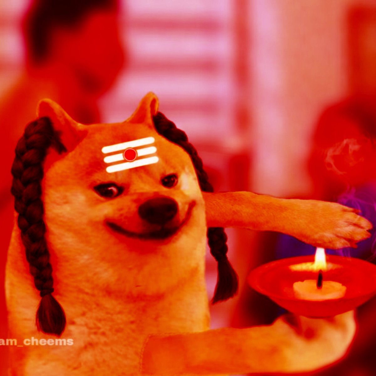 Aegon🦖 tweet media