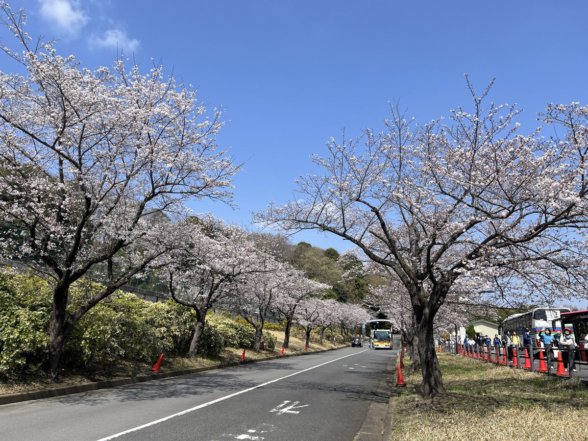 大島 和人（Kazuto Oshima） tweet media