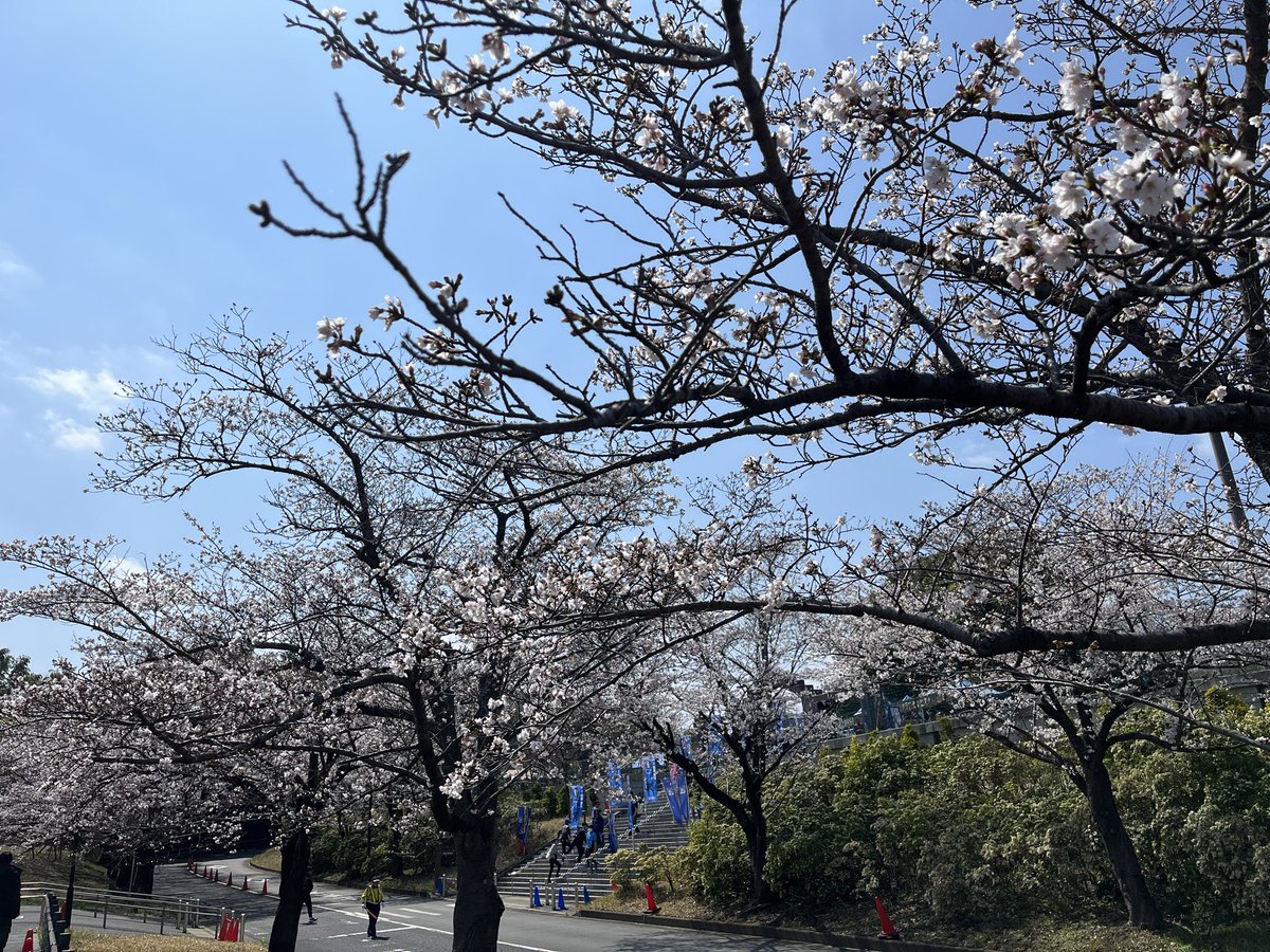 大島 和人（Kazuto Oshima） tweet media