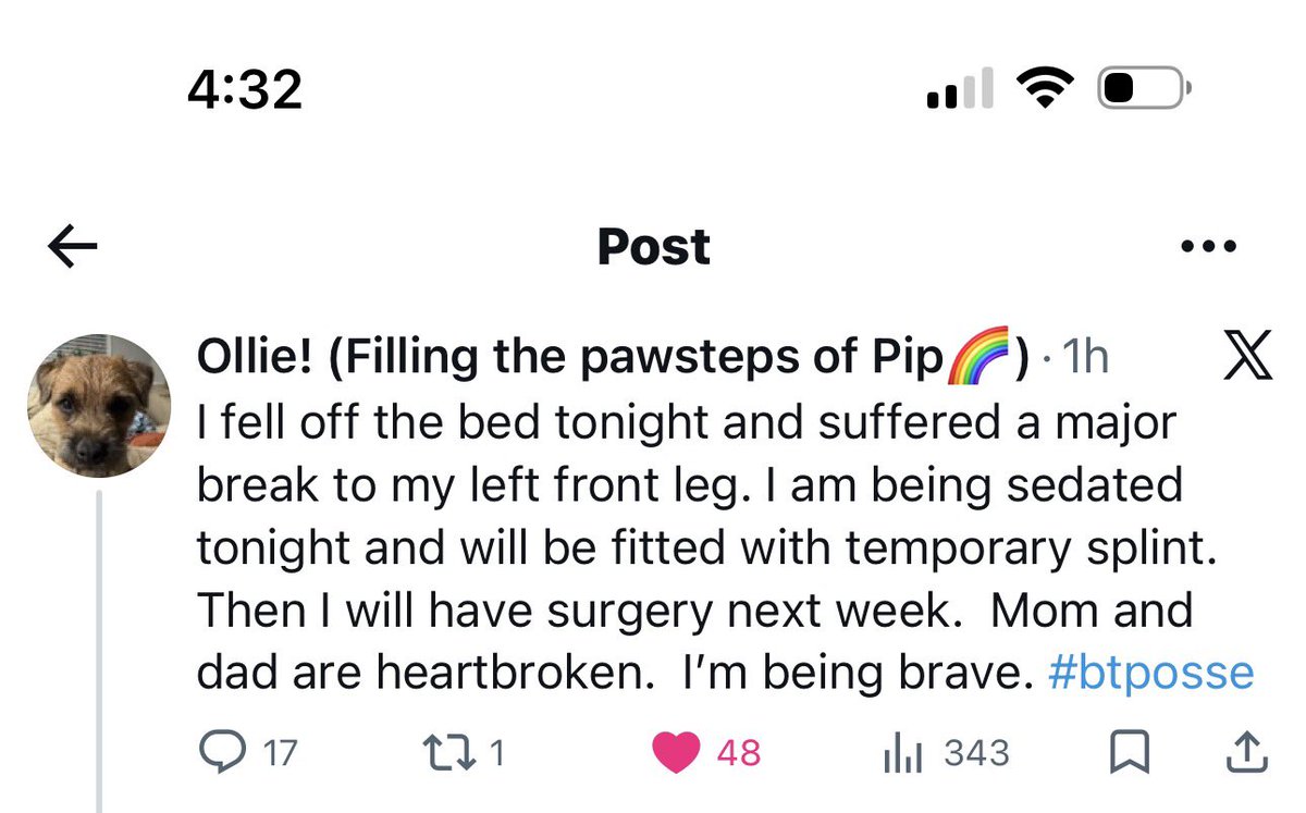 Moss the BT 🇳🇿 tweet media