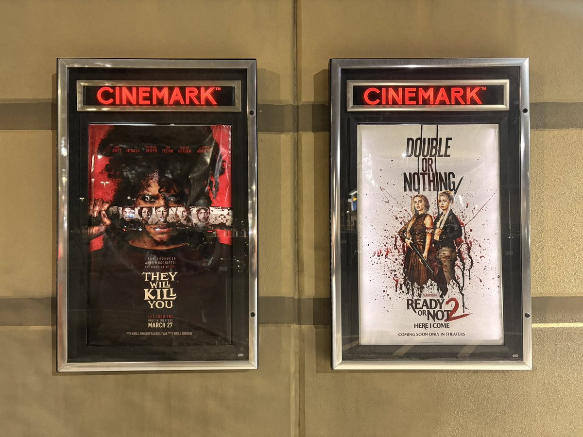 elbee ☘️ tweet media