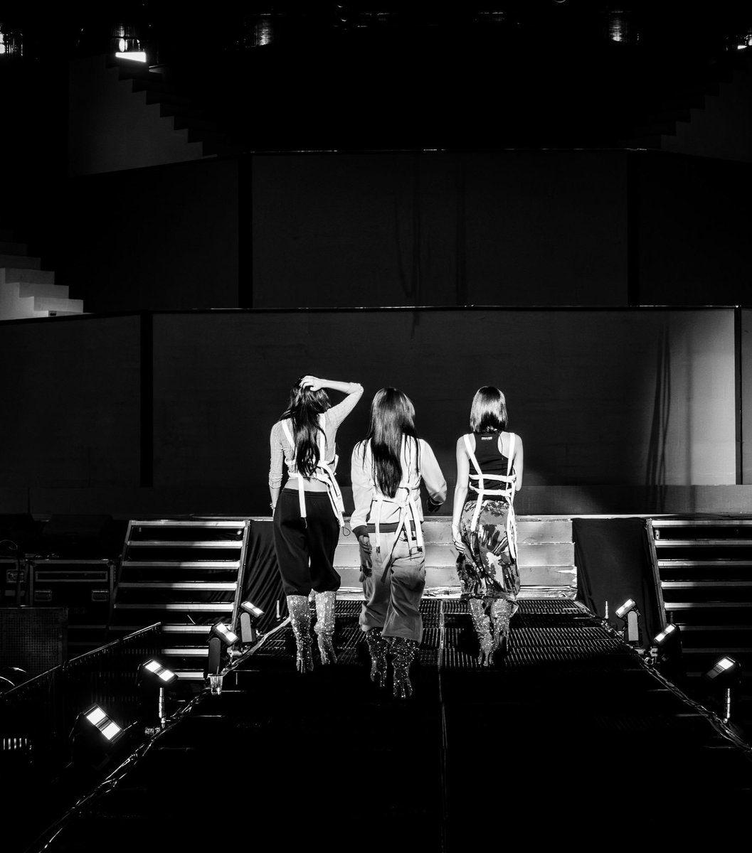 แมวงงในดงไหน😵‍💫 tweet media