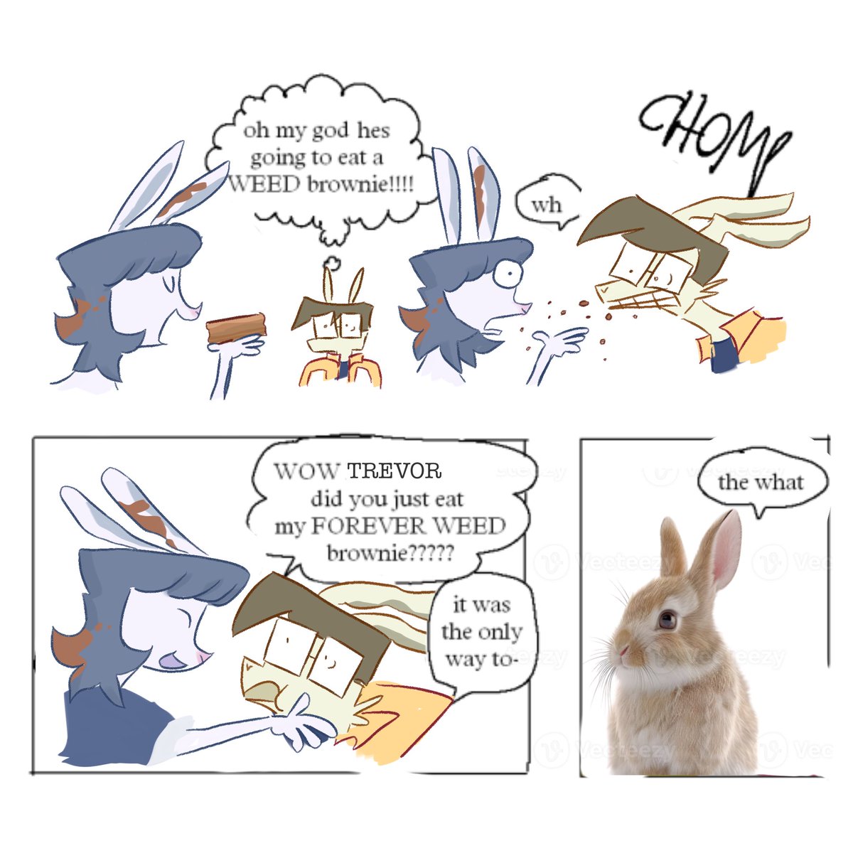 rawser ♿️ tweet media