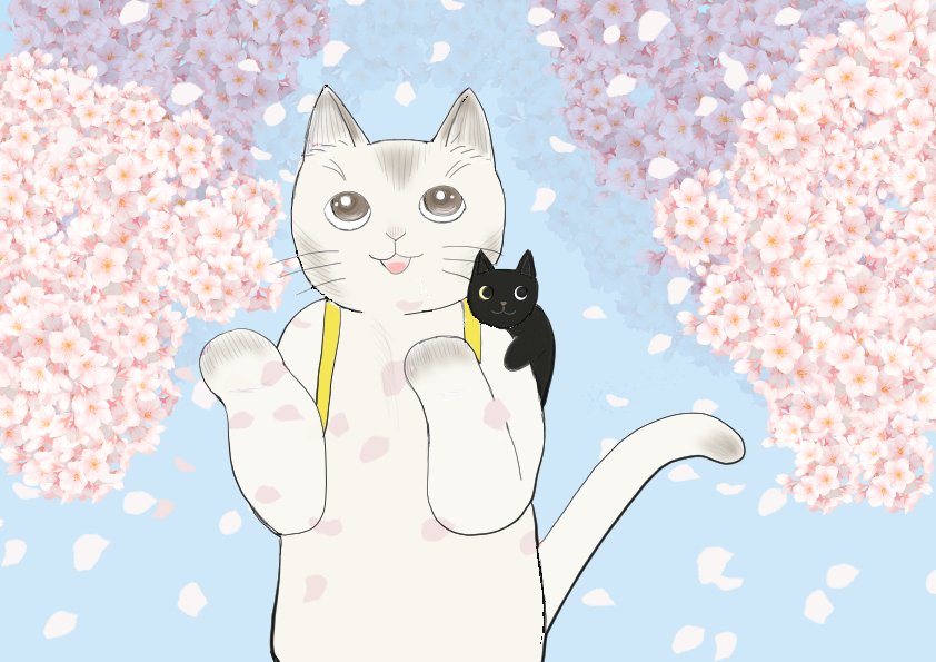 Flyingcat tweet media