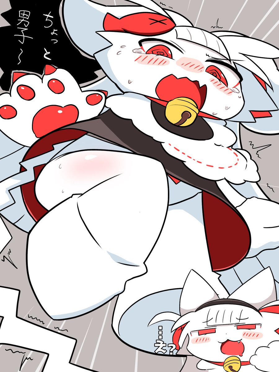 시로네코 tweet media