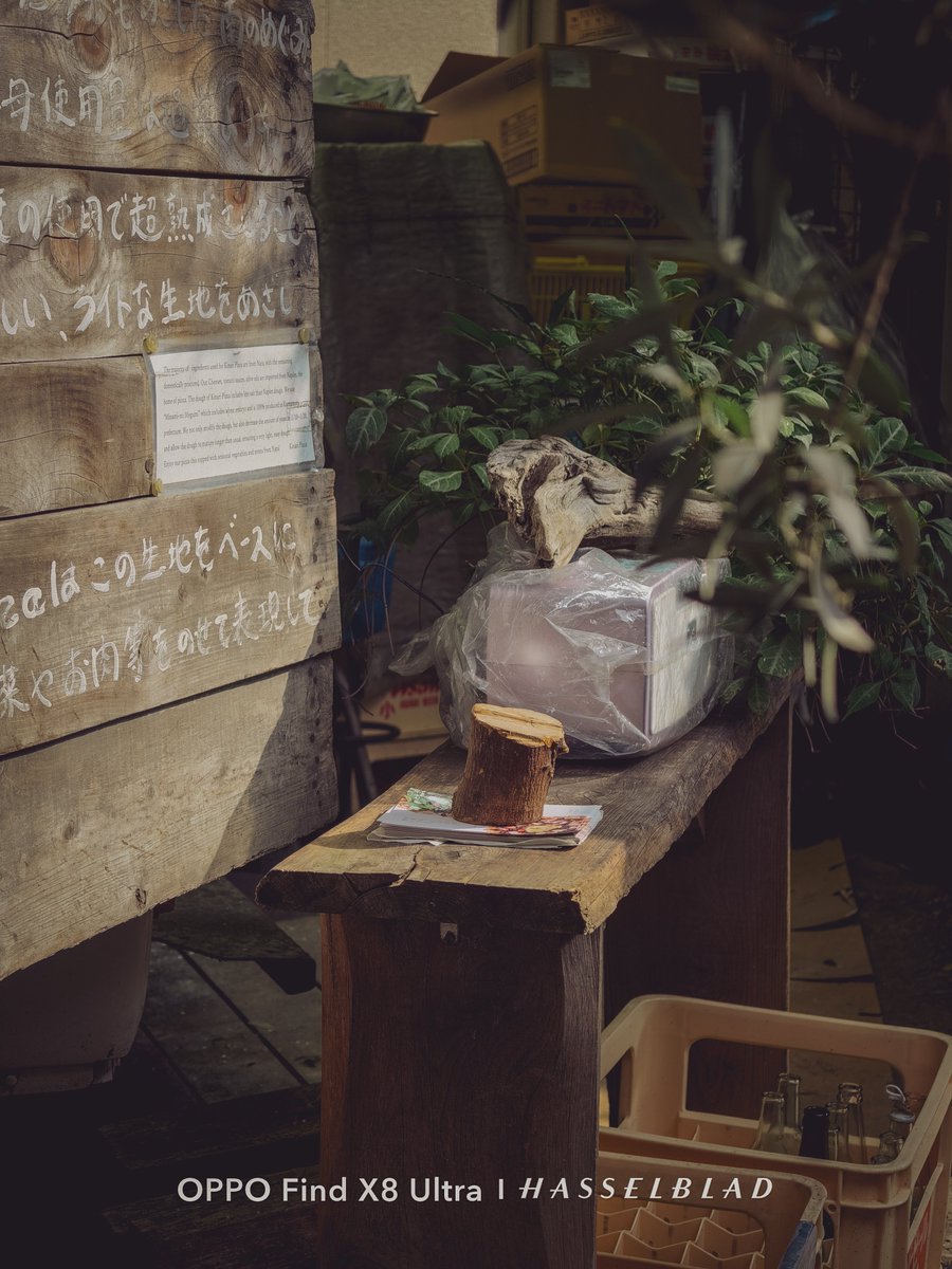 mokemias's tweet image. ニンニクアンチョビマルゲリータ🍕

#FindX8Ultra
#OPPO