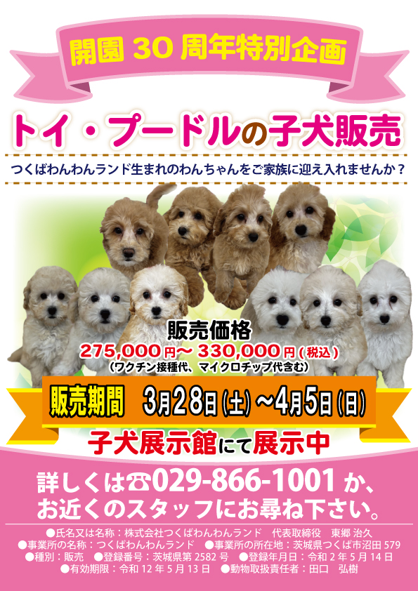 当園で生まれた子犬を期間限定で販売しております。 ご来園いただき