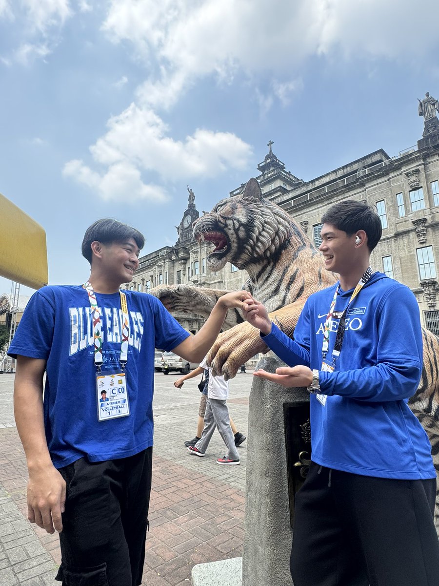 Velorina Sweetness tweet media