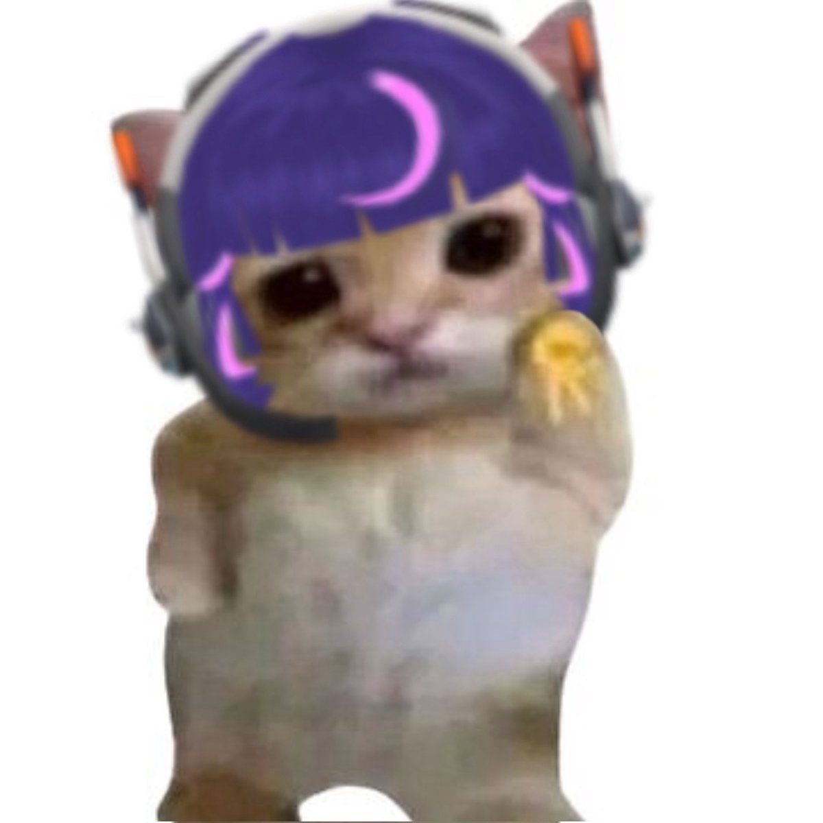 𝐃𝐢𝐫𝐞𝐰𝐨𝐥𝐟 tweet media