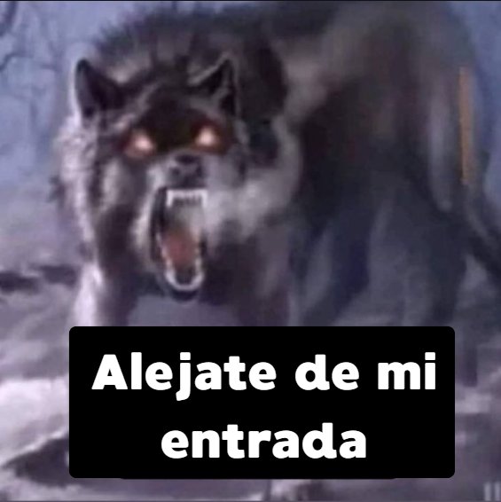 Kiki's⁷ VA A VER A BTS tweet media