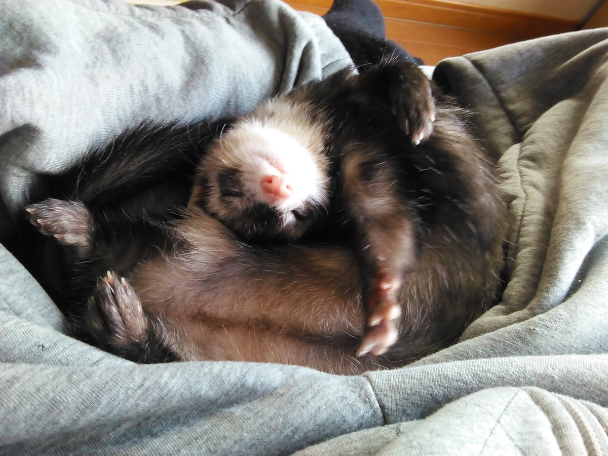 RAGA a.k.a.DJ 雷音⚡️🇯🇵 tweet media