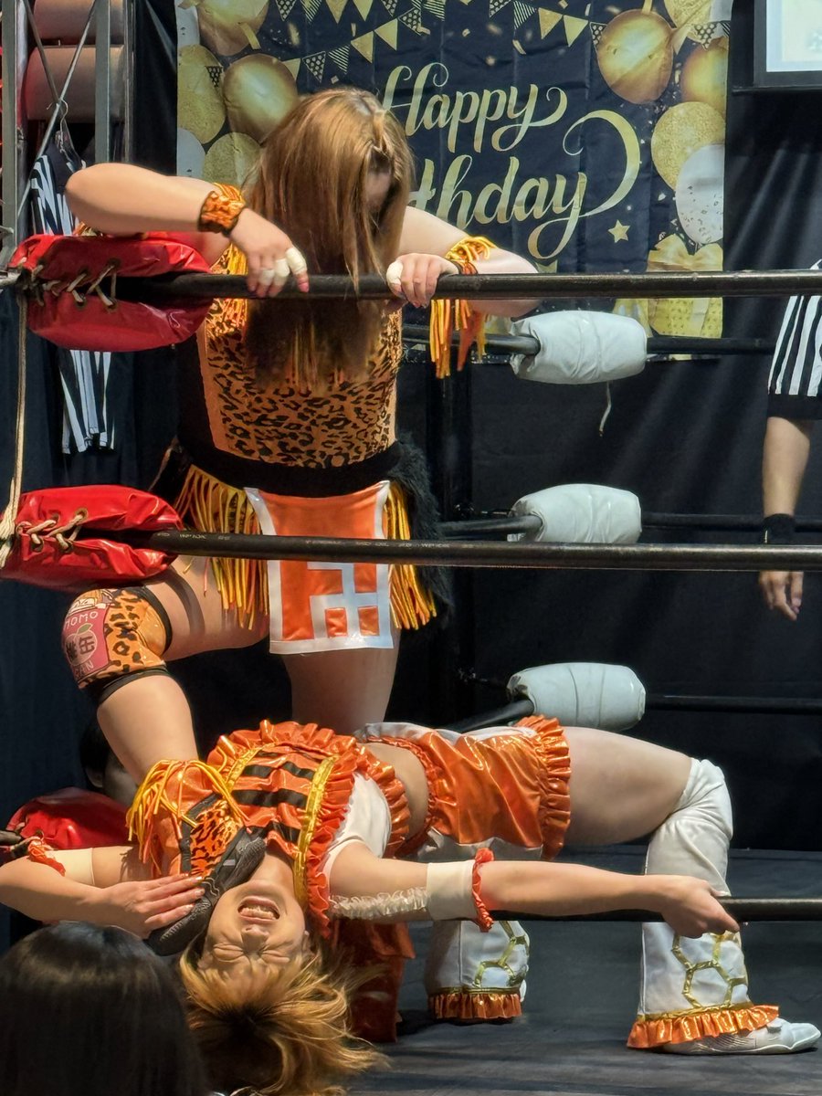 マッキー .M's cafe.エル・ワーク.柳ケ瀬プロレス.m&m'sAnnex tweet media