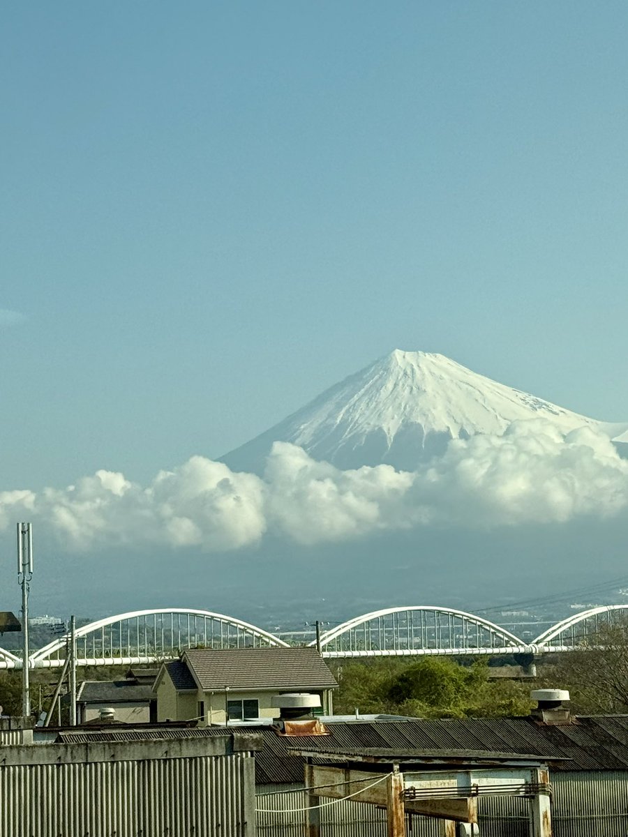 堤 裕子*ゆこ tweet media