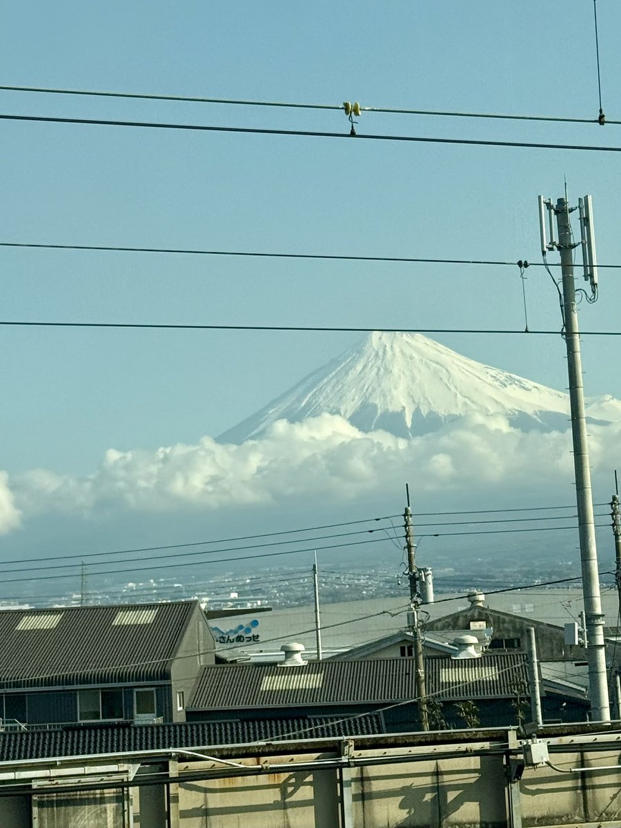 堤 裕子*ゆこ tweet media