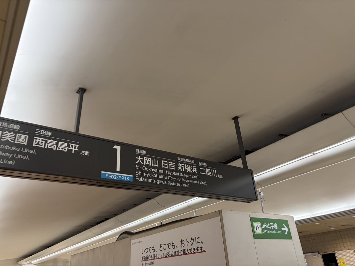 シャイ煮@丁 tweet media