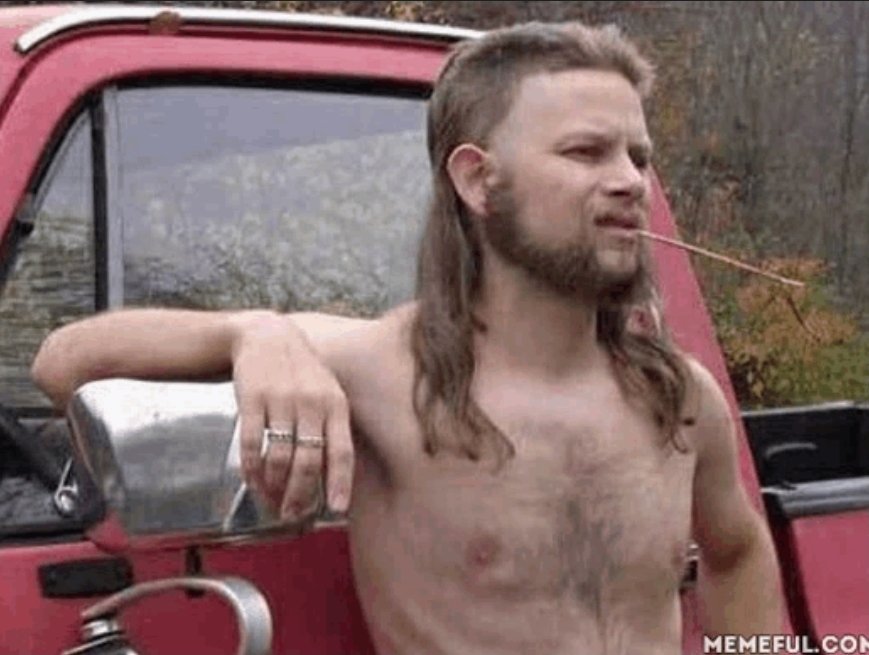 SeickoBee 🇲🇽🇷🇺🇵🇸🇮🇷🇨🇺 tweet media