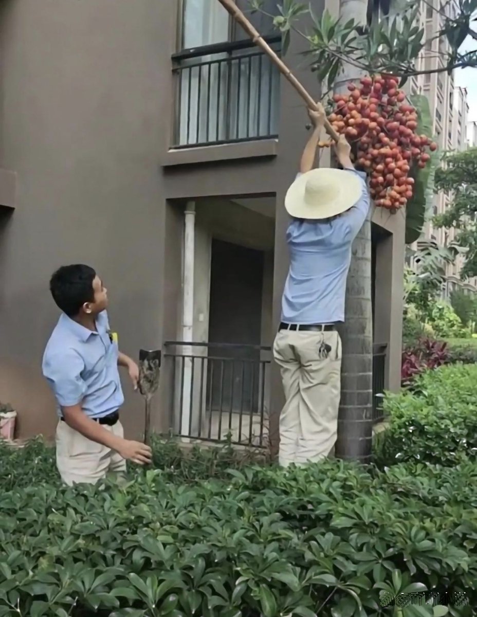 Luise Heinemann tweet media