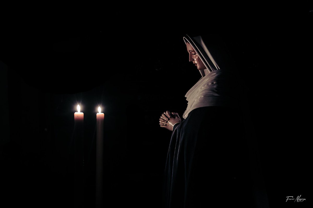 Francisco Mayorga 📷 tweet media