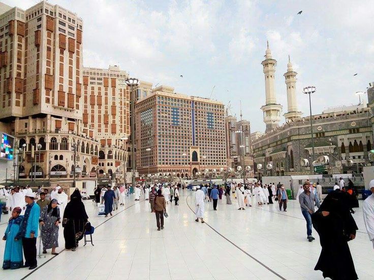 RightWingLurk’nSnake© tweet media